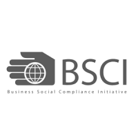 bsci-company-logo